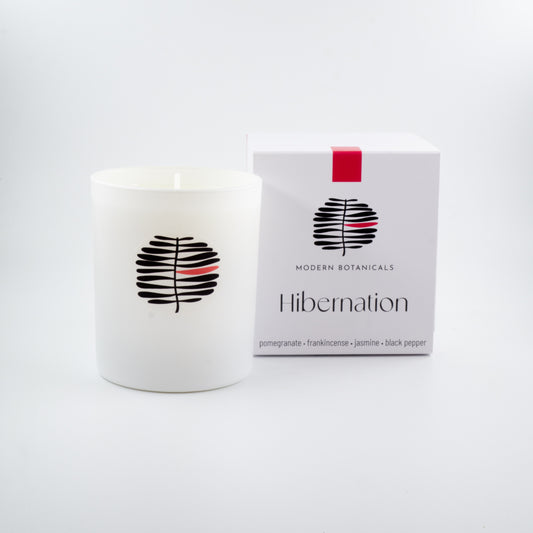 Hibernation Scented Candle 165g (medium)